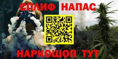 мдпв Камышлов