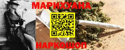 мдпв Камышлов