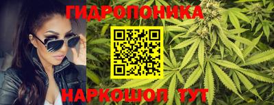 a pvp Канаш