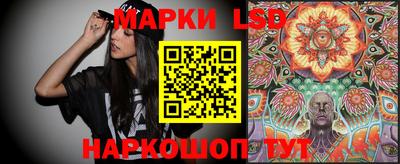 мдпв Камышлов