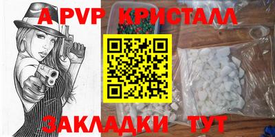 мдпв Камышлов