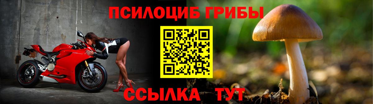 Королёв  Псилоцибиновые грибы MAGIC MUSHROOMS  Вход с VPN  Псилоцибиновые грибы GOLDEN TEACHER 
